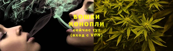 PSILOCYBIN Заволжье