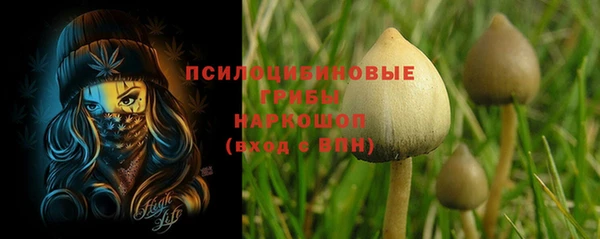 PSILOCYBIN Заволжье