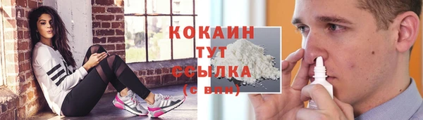 PSILOCYBIN Заволжье