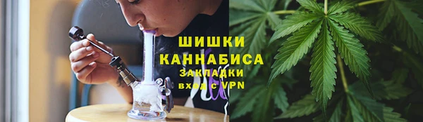 PSILOCYBIN Заволжье