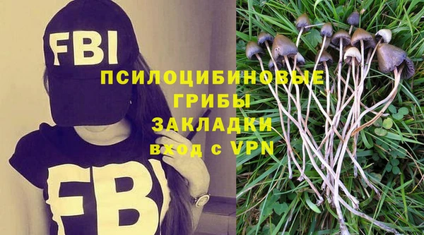 spice Заволжск