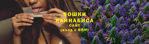 PSILOCYBIN Заволжье