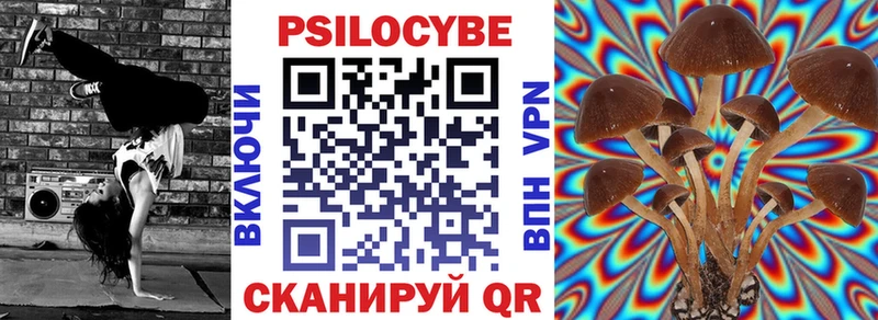 Псилоцибиновые грибы Magic Shrooms  Купить где  Кизел 